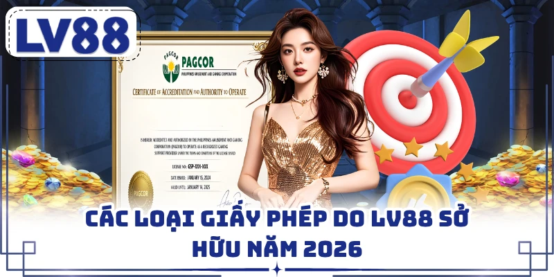 Các loại giấy phép do LV88 sở hữu năm 2026