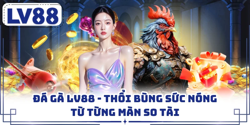 Đá Gà LV88 - Thổi Bùng Sức Nóng Từ Từng Màn So Tài