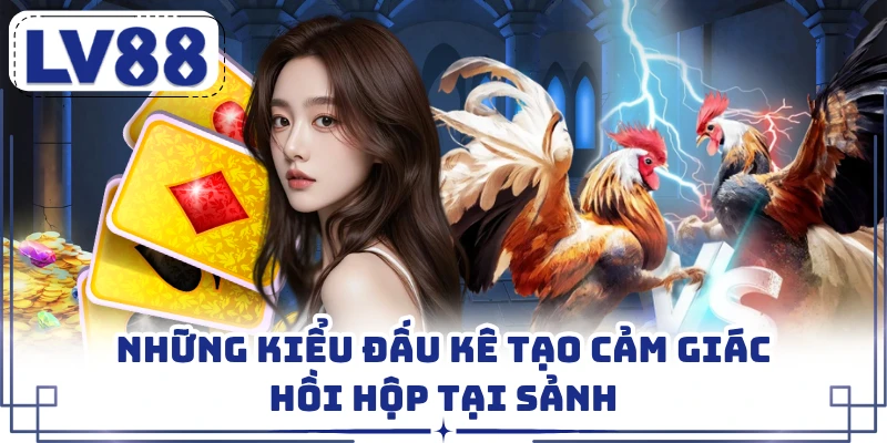 Những kiểu đấu kê tạo cảm giác hồi hộp tại sảnh